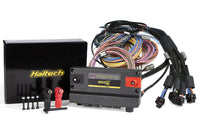 Thumbnail for Haltech NEXUS R5 Universal Wire-In Harness Kit - 5M (16ft)