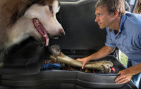 Thumbnail for Husky Liners 09-12 Ford F-150 Super Cab Husky GearBox (w/o Factory Subwoofer)