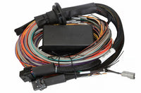 Thumbnail for Haltech Universal Elite 2500/2500 T Premium Wire-In Harness