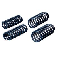 Thumbnail for Hotchkis 05-07 Dodge Charger Sport Coil Springs