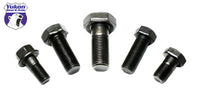 Thumbnail for Yukon Gear Bolt/Screw For Adjuster Lock For Chrysler 7.25in / 8.25in / 8.75in / 9.25in