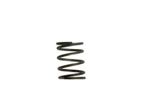 Thumbnail for Turbosmart WG40 5PSI Inner Spring Brown/Grey