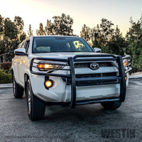 Thumbnail for Westin 14-21 Toyota 4Runner (Excl. Limited) Sportsman X Grille Guard - Textured Black