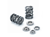 Thumbnail for Supertech GM ECOTEC 2.0L Dual Valve Spring Kit (Requires Smaller Seal)