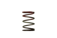 Thumbnail for Turbosmart WG40 11PSI Middle Spring Brown/Red