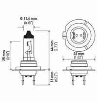 Thumbnail for Hella Bulb H7 12V 55W Px26D T4625 +50 (2)