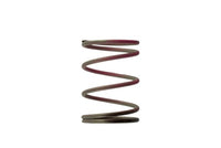 Thumbnail for Turbosmart 2011 WG38/40/45 7PSI Outer Spring Brown/Pink