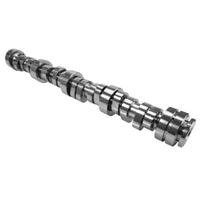 Thumbnail for COMP Cams 7.3L Godzilla Stage 1 NSR/NTR Hydraulic Roller Camshaft