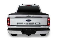 Thumbnail for Putco 2021 Ford F-150 Ford Lettering (Cut Letters/Black Platinum) Tailgate Emblems