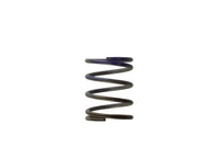 Thumbnail for Turbosmart WG40 7PSI Middle Spring Brown/Purple