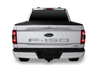 Thumbnail for Putco 2021 Ford F-150 Stainless Steel Upper/Lower Tailgate Accent (2pcs)