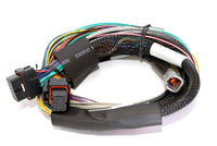 Thumbnail for Haltech Elite 1500 8ft Basic Universal Wire-In Harness (Excl Relays or Fuses)